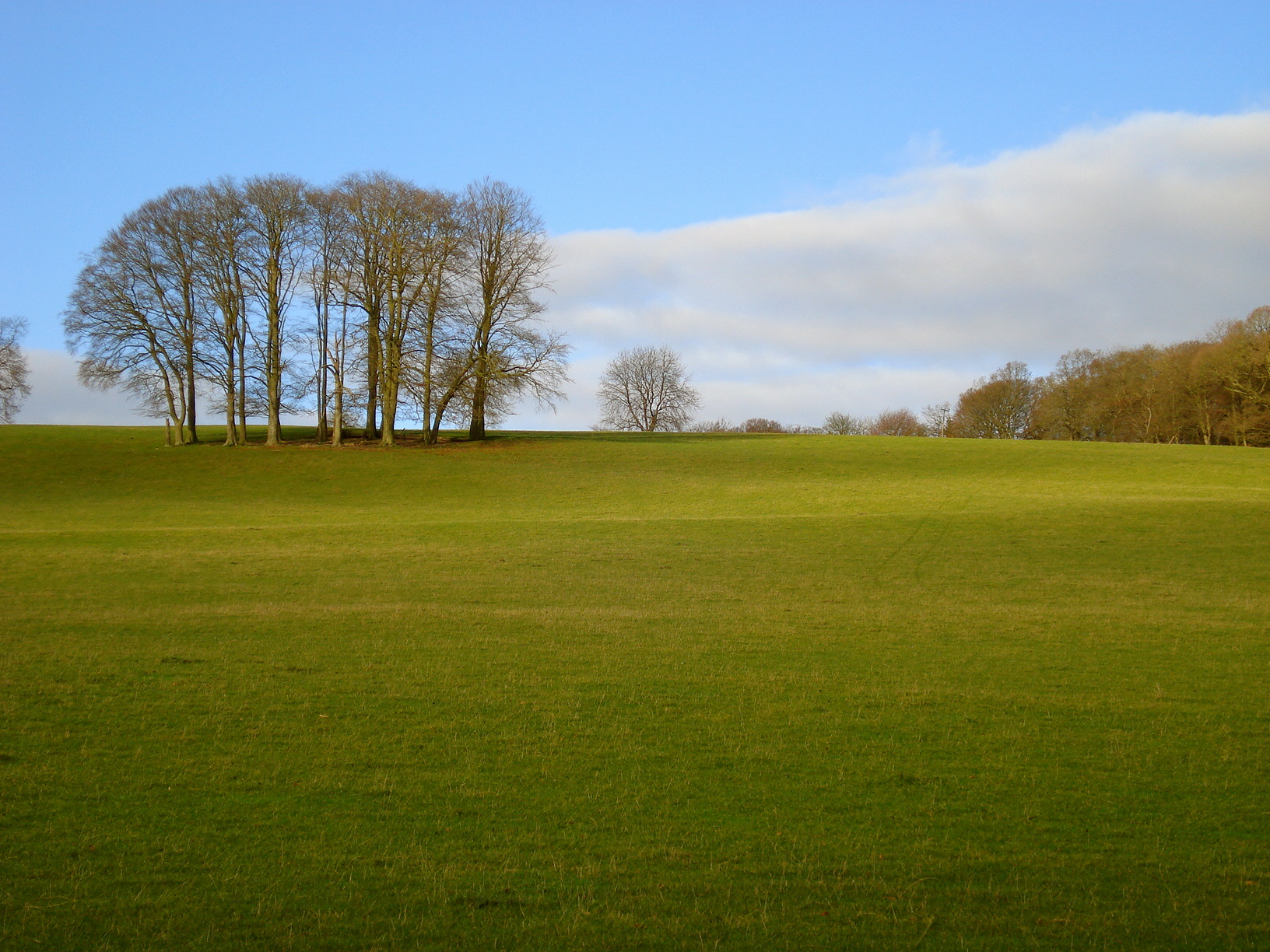 Southdowns National Park